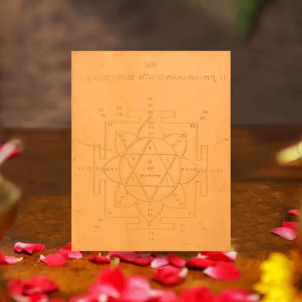 Shree Narayan Yantra