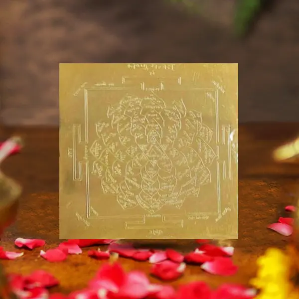 Shree Vishnu Yantra