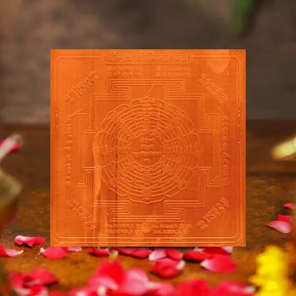 Chausath Yogini Puja Yantra