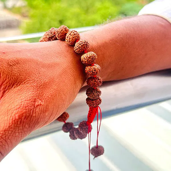 10 Mukhi Rudraksha Bracelet