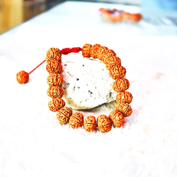 6 Mukhi Rudraksha Bracelet