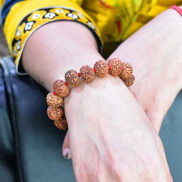 7 Mukhi Rudraksha Bracelet