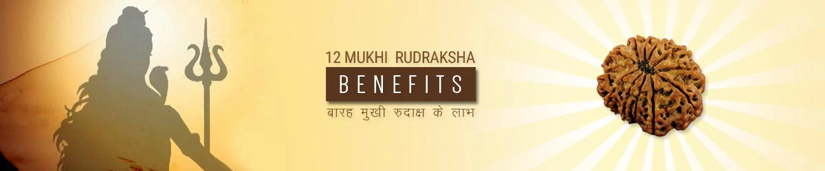 12 Mukhi Rudraksha Benefits, बारह मुखी रुद्राक्ष लाभ