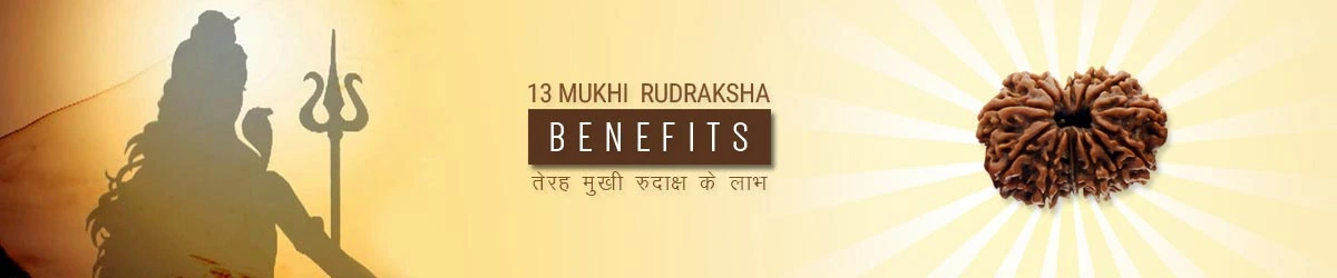 13 Mukhi Rudraksha Benefits, तेरह मुखी रुद्राक्ष लाभ