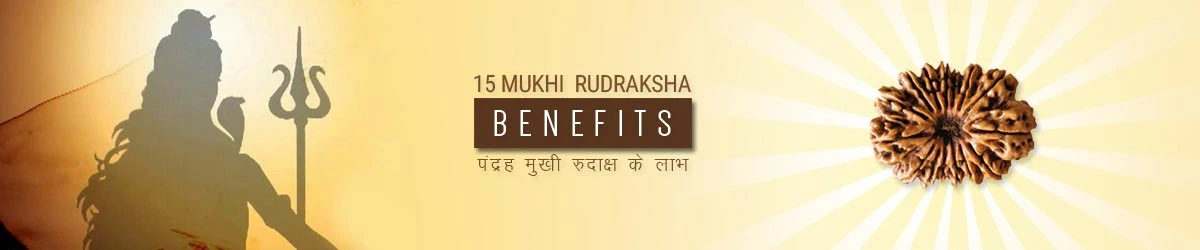 15 Mukhi Rudraksha Benefits, पंद्रह मुखी रुद्राक्ष लाभ