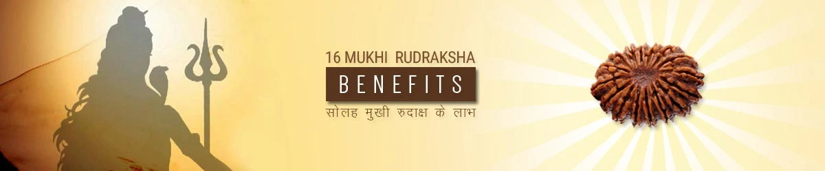 16 Mukhi Rudraksha Benefits, सोलह मुखी रुद्राक्ष लाभ