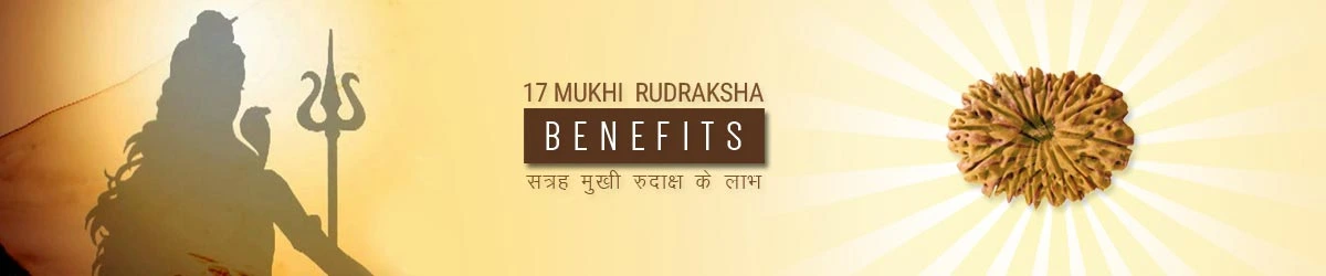 17 Mukhi Rudraksha Benefits, सत्रह मुखी रुद्राक्ष लाभ