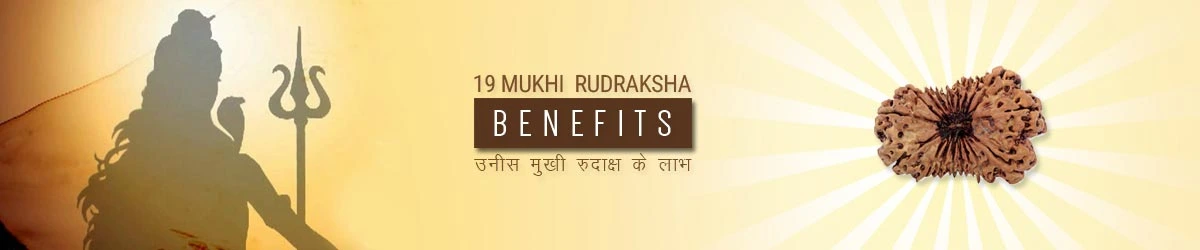 19 Mukhi Rudraksha Benefits, उन्नीस मुखी रुद्राक्ष लाभ