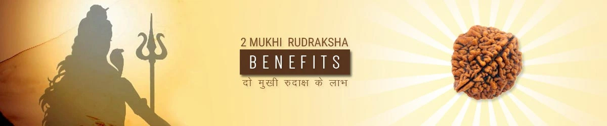 2 Mukhi Rudraksha Benefits, दो मुखी रुद्राक्ष लाभ