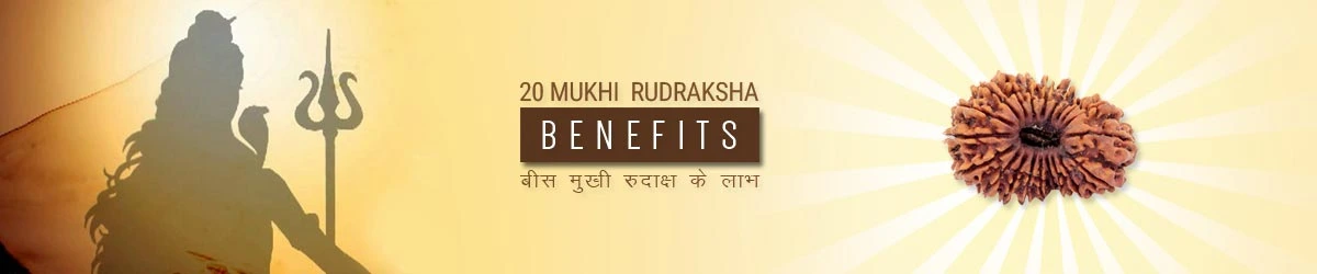 20 Mukhi Rudraksha Benefits, बीस मुखी रुद्राक्ष लाभ