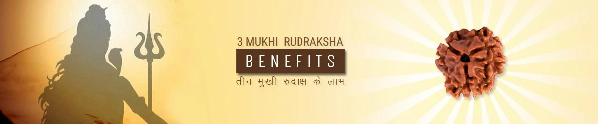 3 Mukhi Rudraksha Benefits, तीन मुखी रुद्राक्ष लाभ