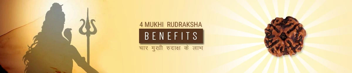 4 Mukhi Rudraksha Benefits, चार मुखी रुद्राक्ष लाभ