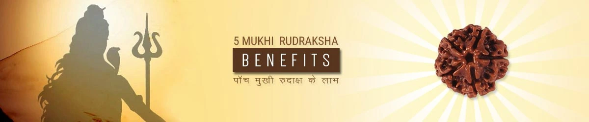 5 Mukhi Rudraksha Benefits, पांच मुखी रुद्राक्ष के लाभ