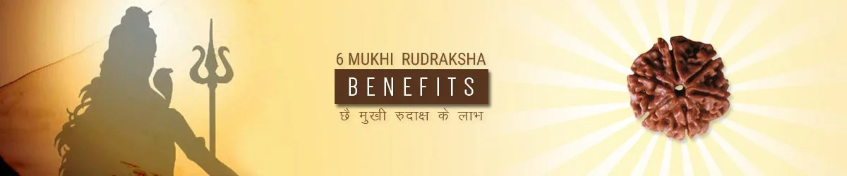 6 Mukhi Rudraksha Benefits, छ: मुखी रुद्राक्ष लाभ