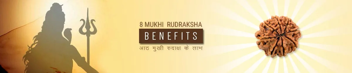 8 Mukhi Rudraksha Benefits, आठ मुखी रुद्राक्ष लाभ