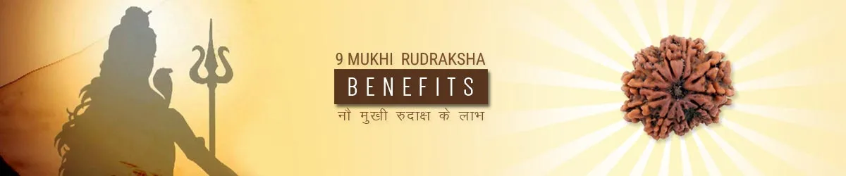 9 Mukhi Rudraksha Benefits, नौ मुखी रुद्राक्ष लाभ