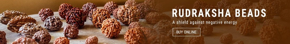 8 Mukhi Rudraksha Benefits, आठ मुखी रुद्राक्ष लाभ