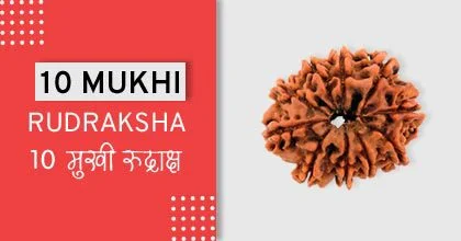 Rudraksha Remedies, रुद्राक्ष के उपाय