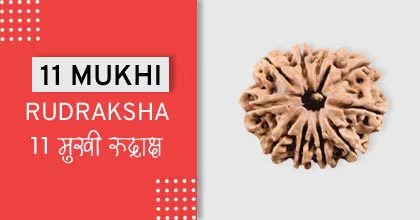 Rudraksha Remedies, रुद्राक्ष के उपाय