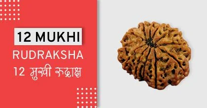 Rudraksha Remedies, रुद्राक्ष के उपाय