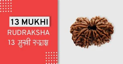 Rudraksha Remedies, रुद्राक्ष के उपाय