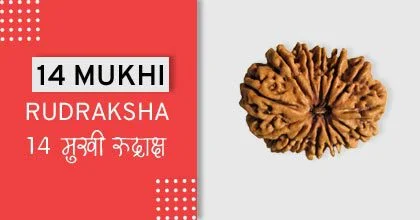 Rudraksha Remedies, रुद्राक्ष के उपाय