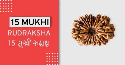 Rudraksha Remedies, रुद्राक्ष के उपाय