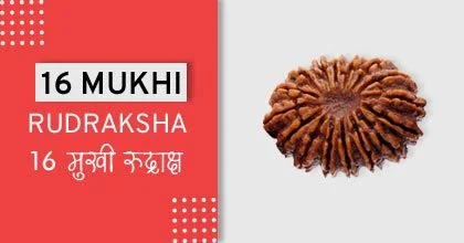 Rudraksha Remedies, रुद्राक्ष के उपाय