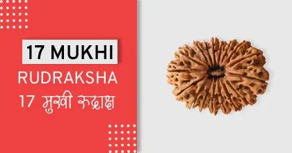 Rudraksha Remedies, रुद्राक्ष के उपाय