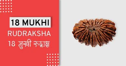 Rudraksha Remedies, रुद्राक्ष के उपाय