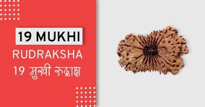 Rudraksha Remedies, रुद्राक्ष के उपाय