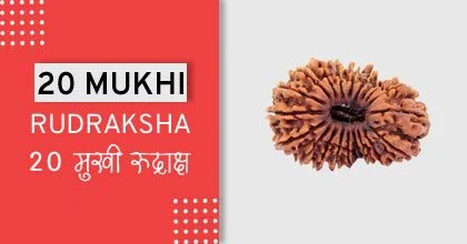 Rudraksha Remedies, रुद्राक्ष के उपाय