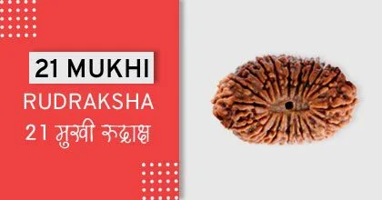 Rudraksha Remedies, रुद्राक्ष के उपाय