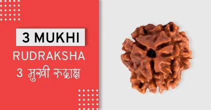 Rudraksha Remedies, रुद्राक्ष के उपाय