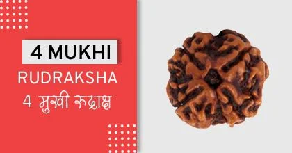 Rudraksha Remedies, रुद्राक्ष के उपाय