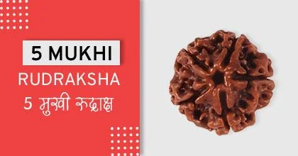 Rudraksha Remedies, रुद्राक्ष के उपाय