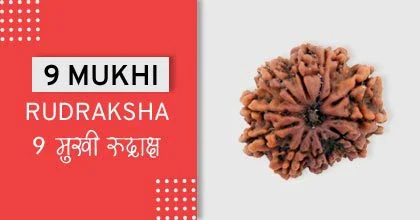 Rudraksha Remedies, रुद्राक्ष के उपाय