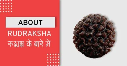 Rudraksha Remedies, रुद्राक्ष के उपाय