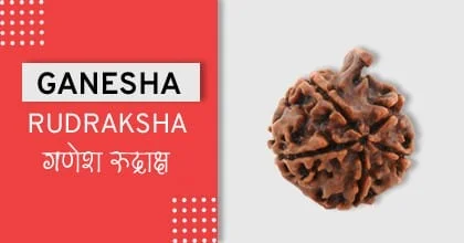 Rudraksha Remedies, रुद्राक्ष के उपाय