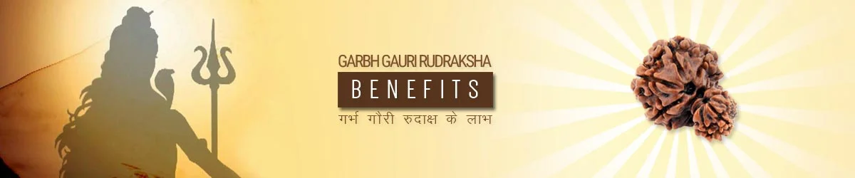 Gauri Shankar Rudraksha Benefits, गौरी शंकर रुद्राक्ष