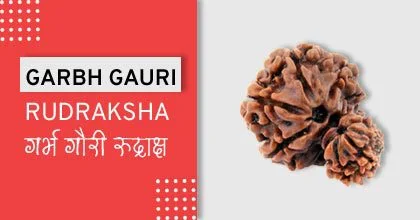 Rudraksha Remedies, रुद्राक्ष के उपाय