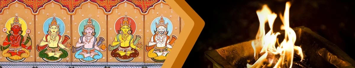 Navagraha Dosha Puja, Navagraha Shanti Homam