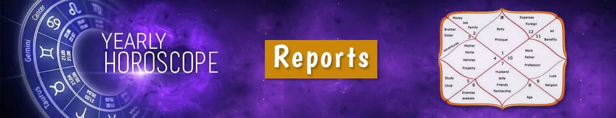 Yearly Reports